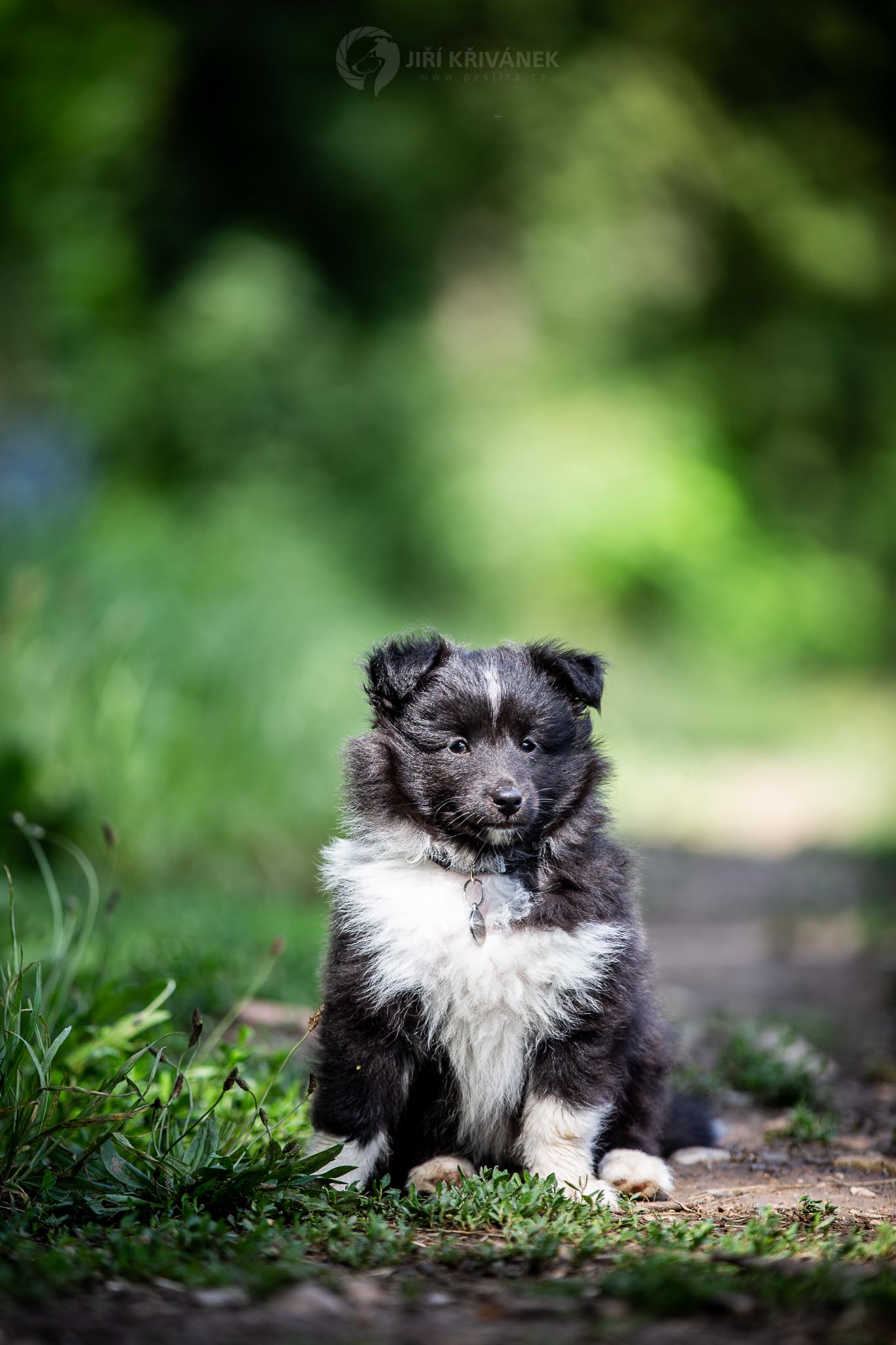 Emerson Fittipaldi Eriien