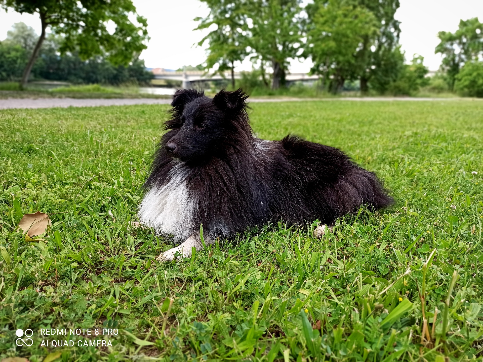 Emerson Fittipaldi Eriien