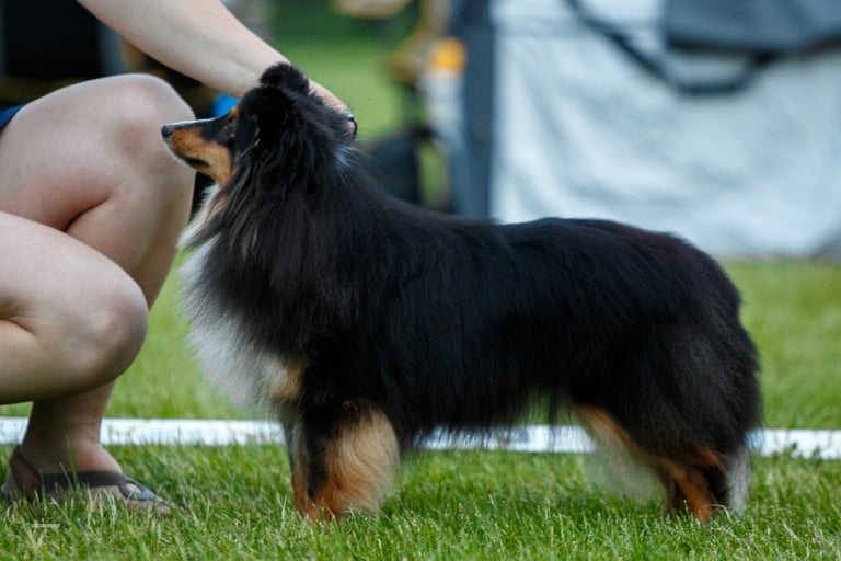 Smile Angel Obyknovennoe Chudo