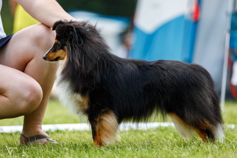 Smile Angel Obyknovennoe Chudo