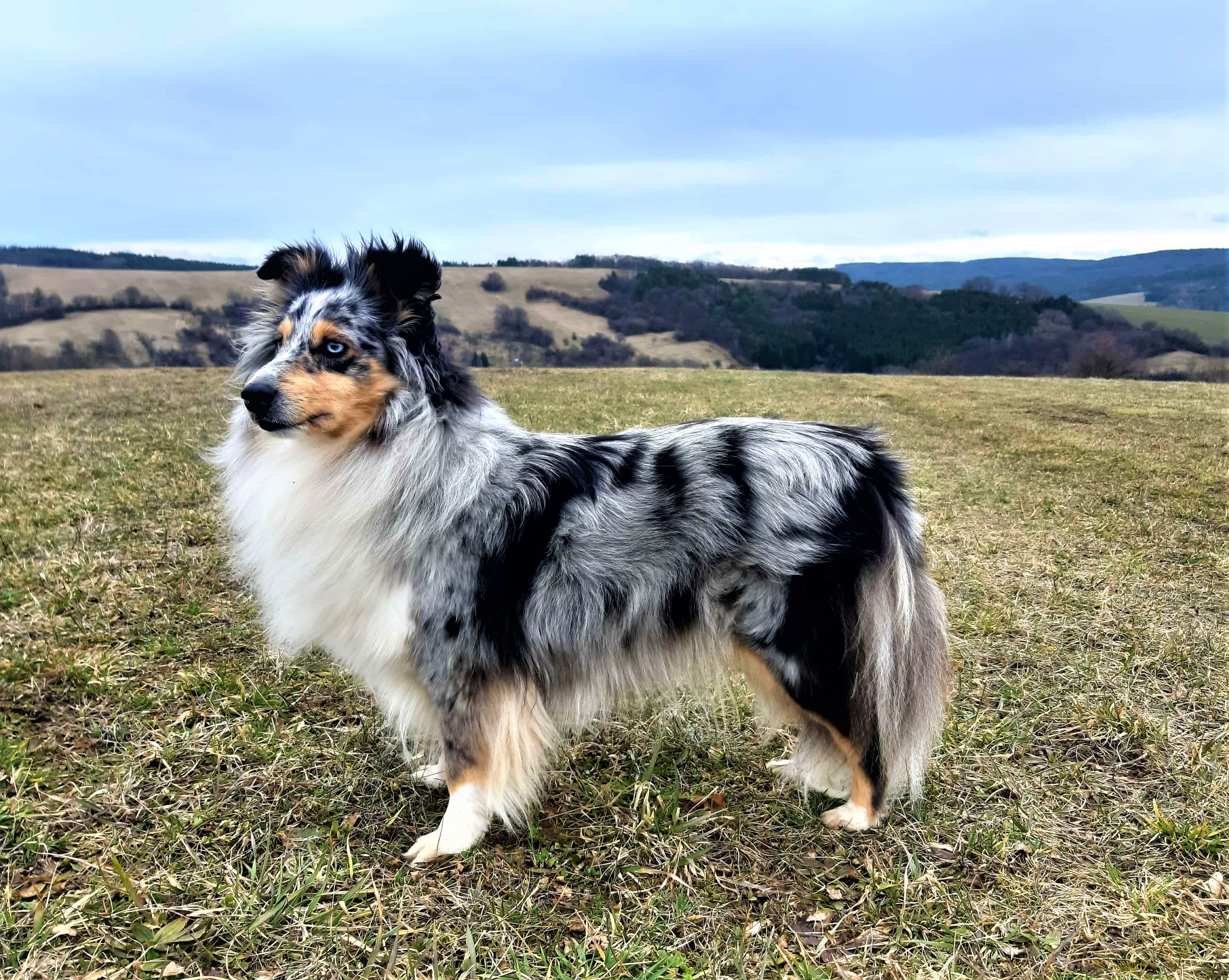 Elizabeth Cotten al Bader