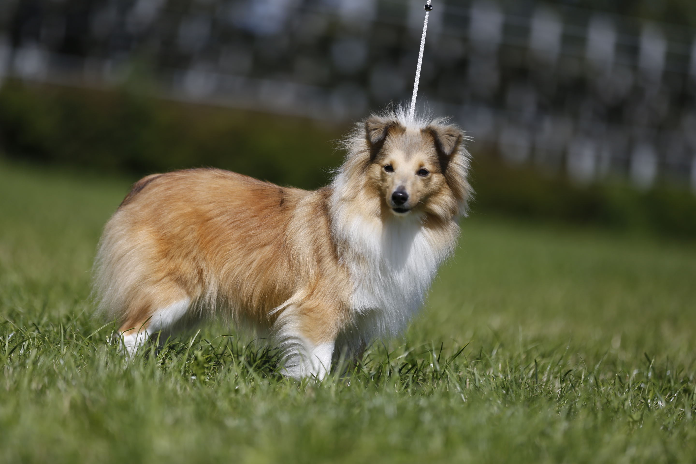 Dia Mummy's Princess z Diouškova ráje