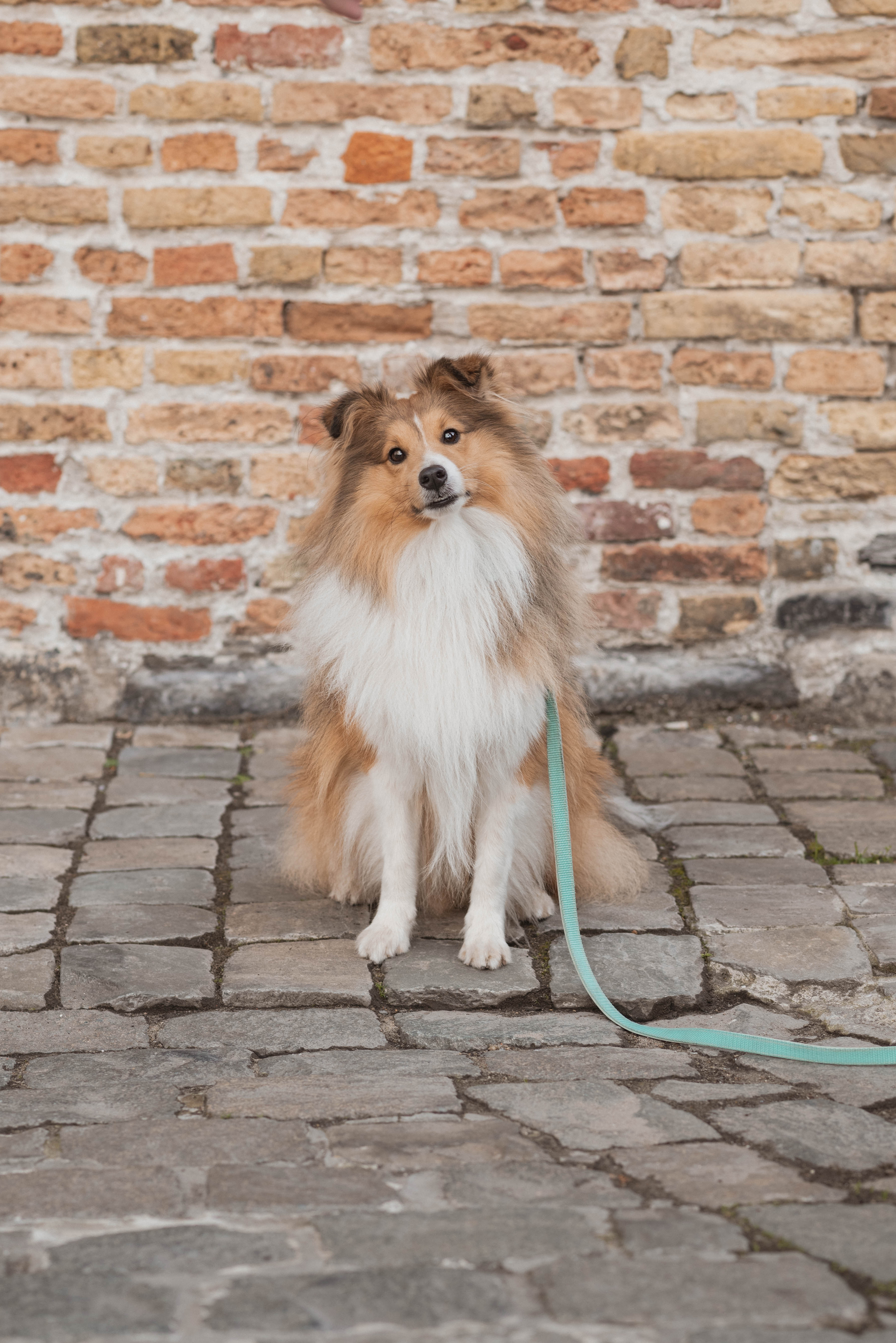 Eddie z Diouškova ráje