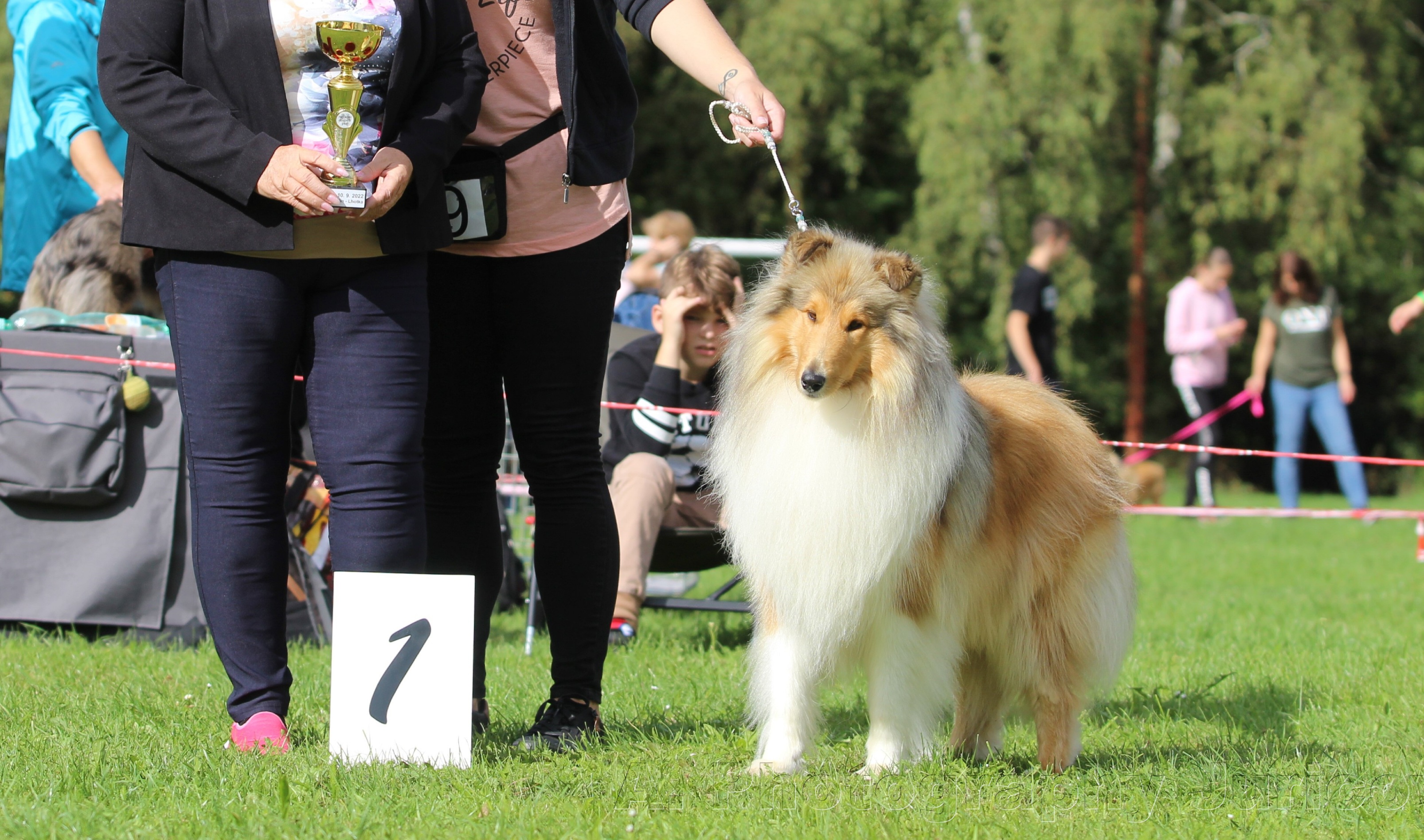 Zolli z Dančí louky