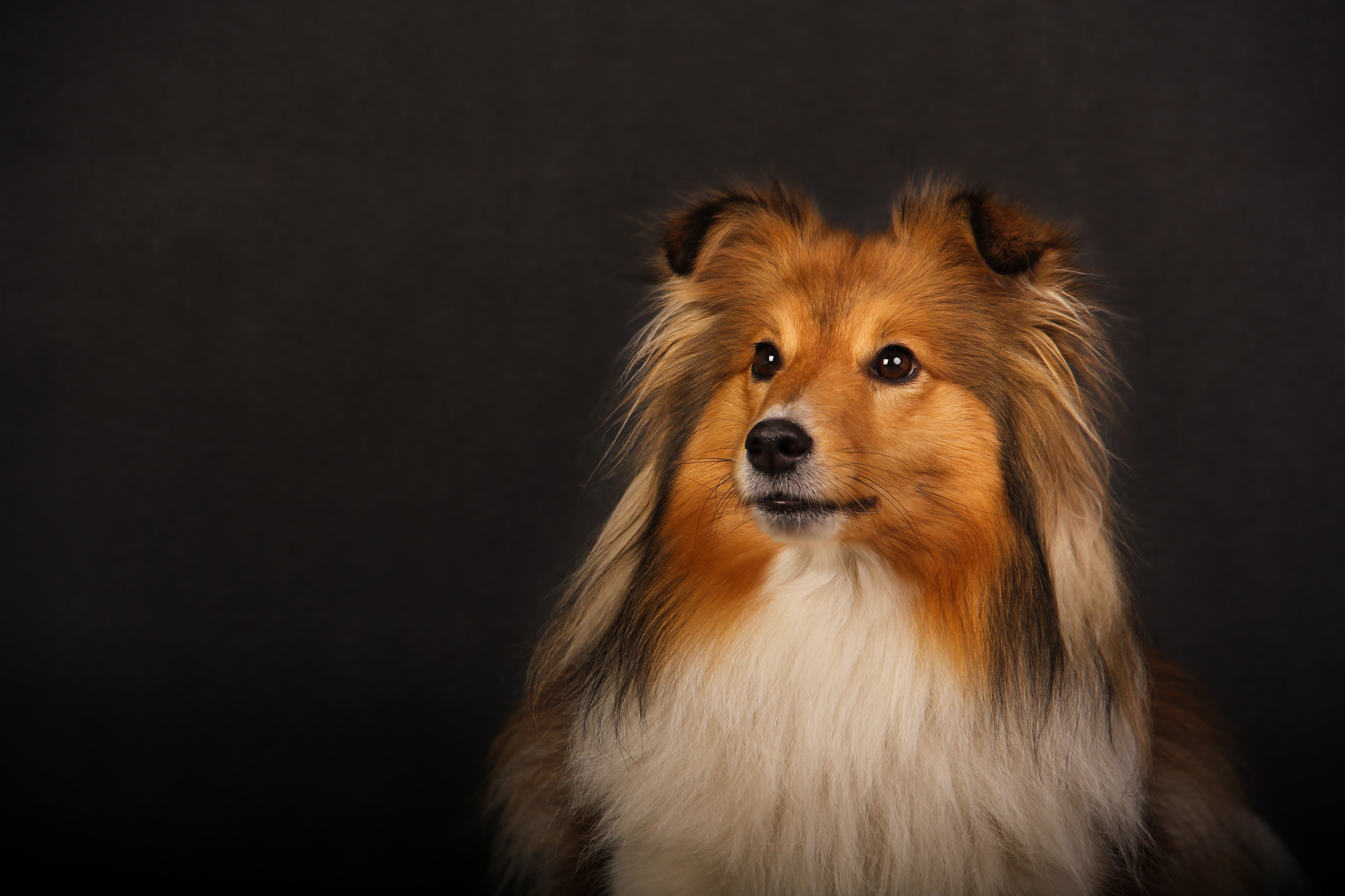 Angie Sparks of the Tempest