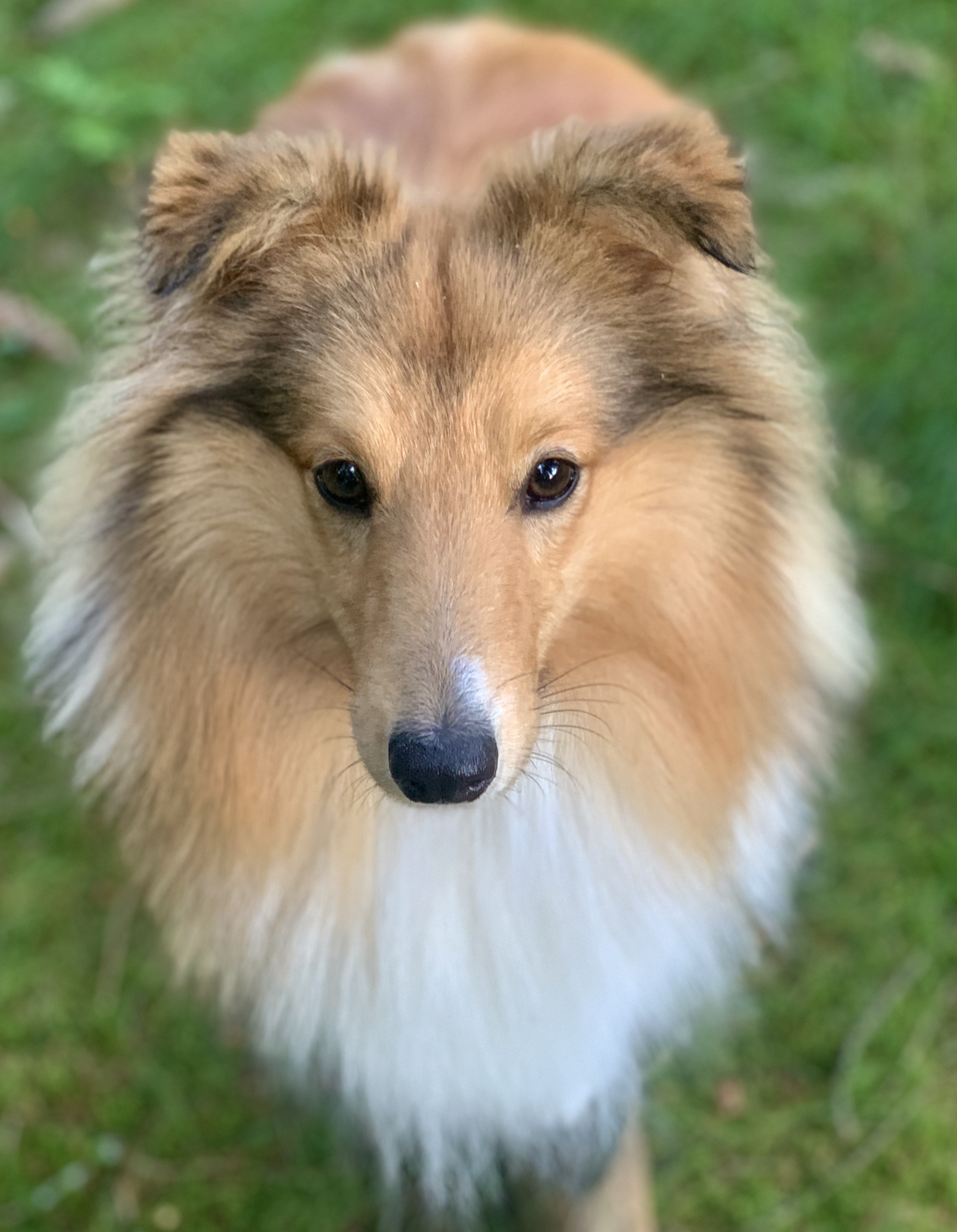 Christian Zahrada dětí