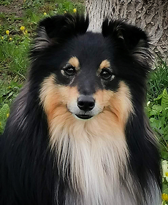 Daddy's Boy Pure Nature