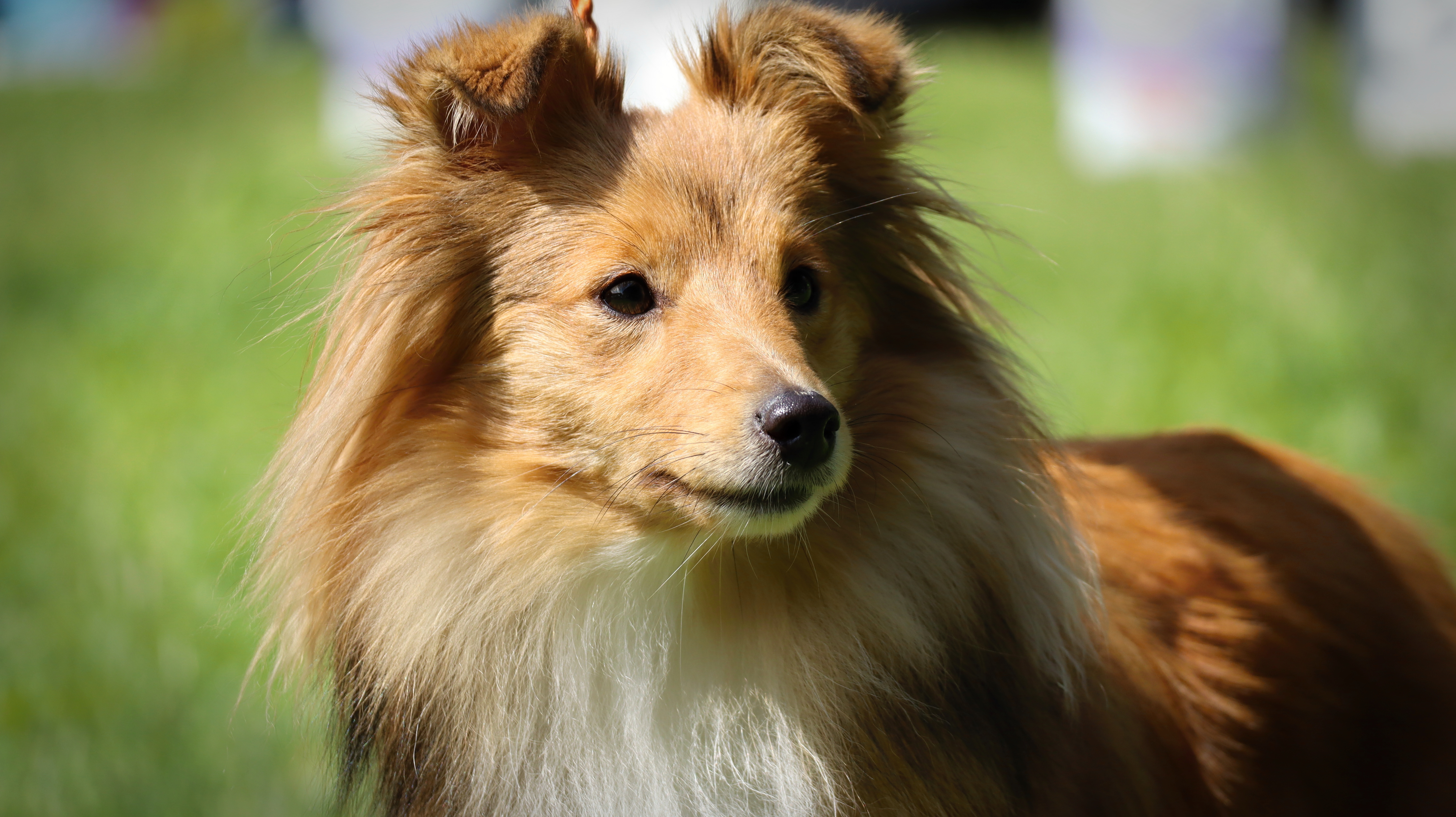 Jasmine Zahrada dětí