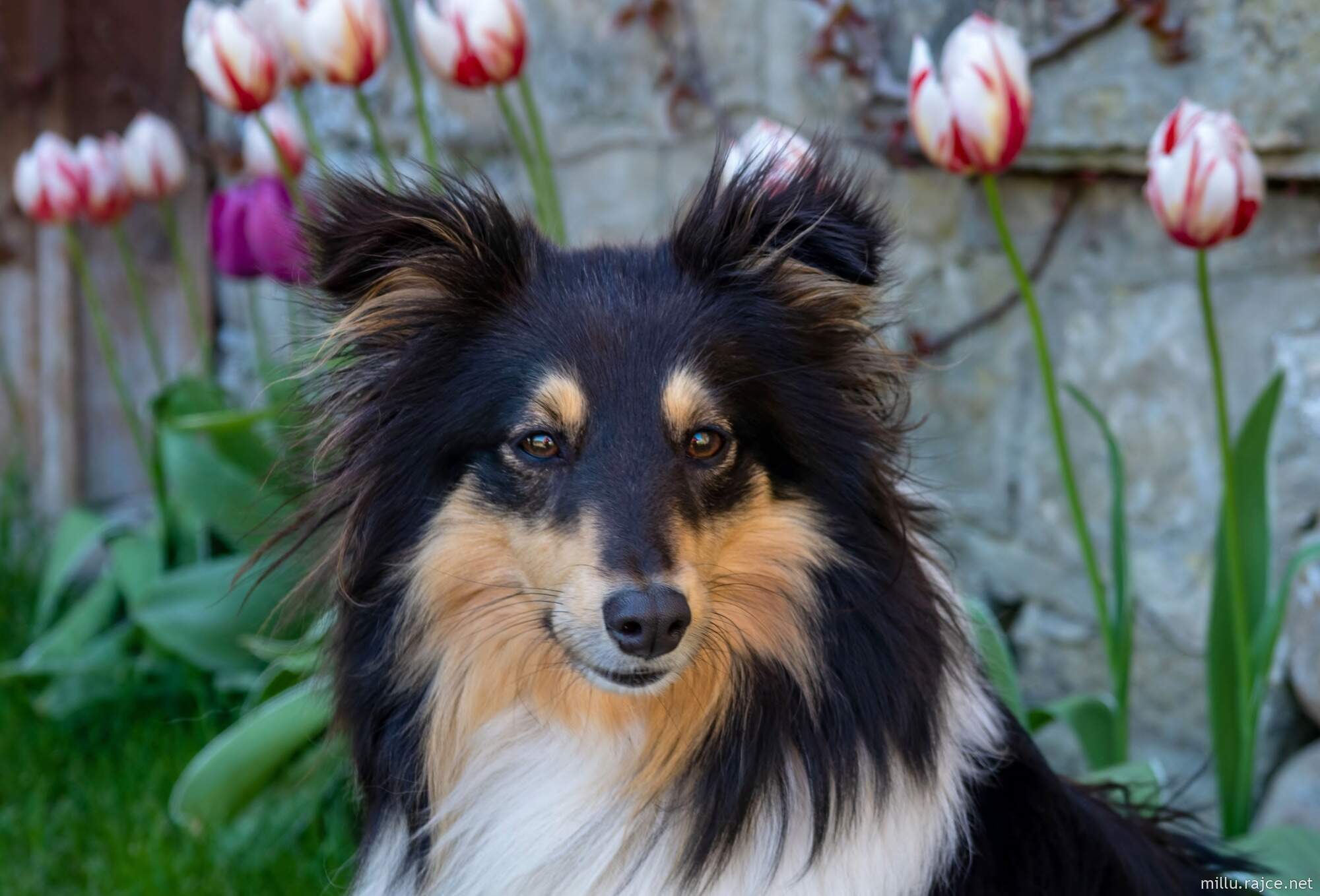 Beyond Beauty Deena's Victory