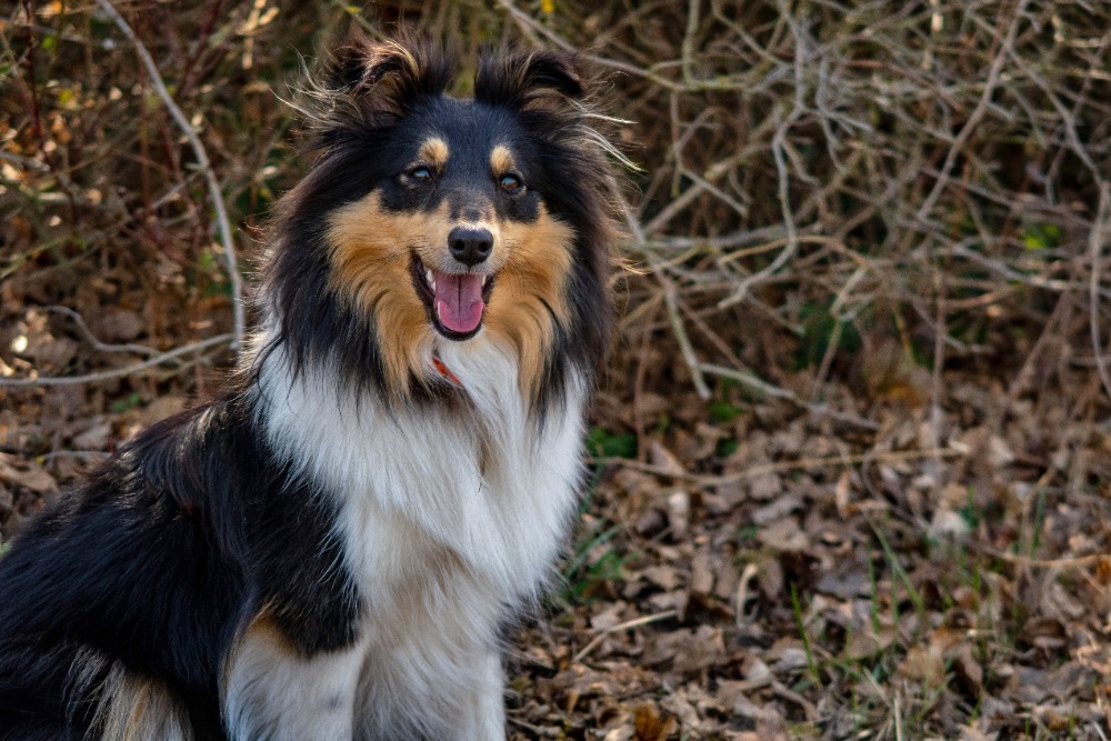 Beyond Beauty Deena's Victory