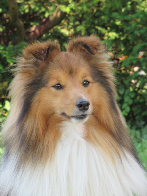 Benefit z Ďáblovy studánky