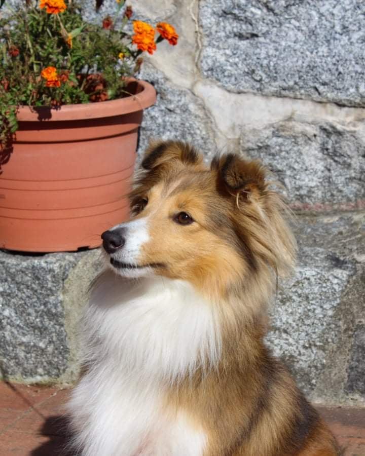 Genocide Osudové setkání