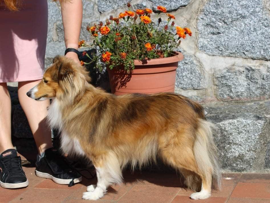 Genocide Osudové setkání