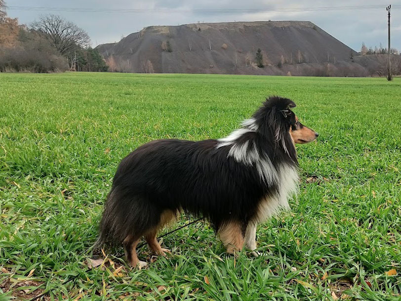 Nikolaj z Karlova hrádku