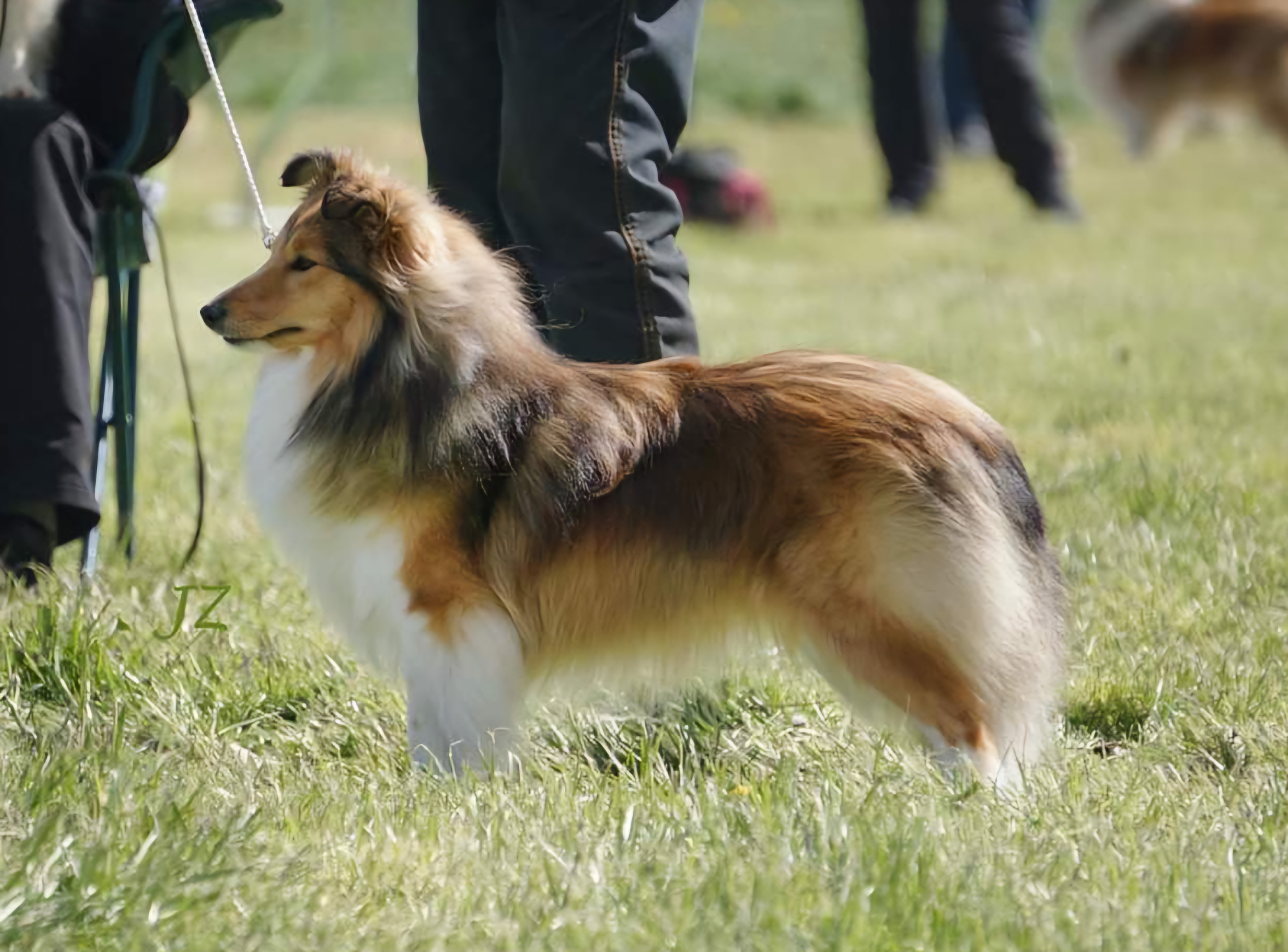 Kiss Forever Královský dar