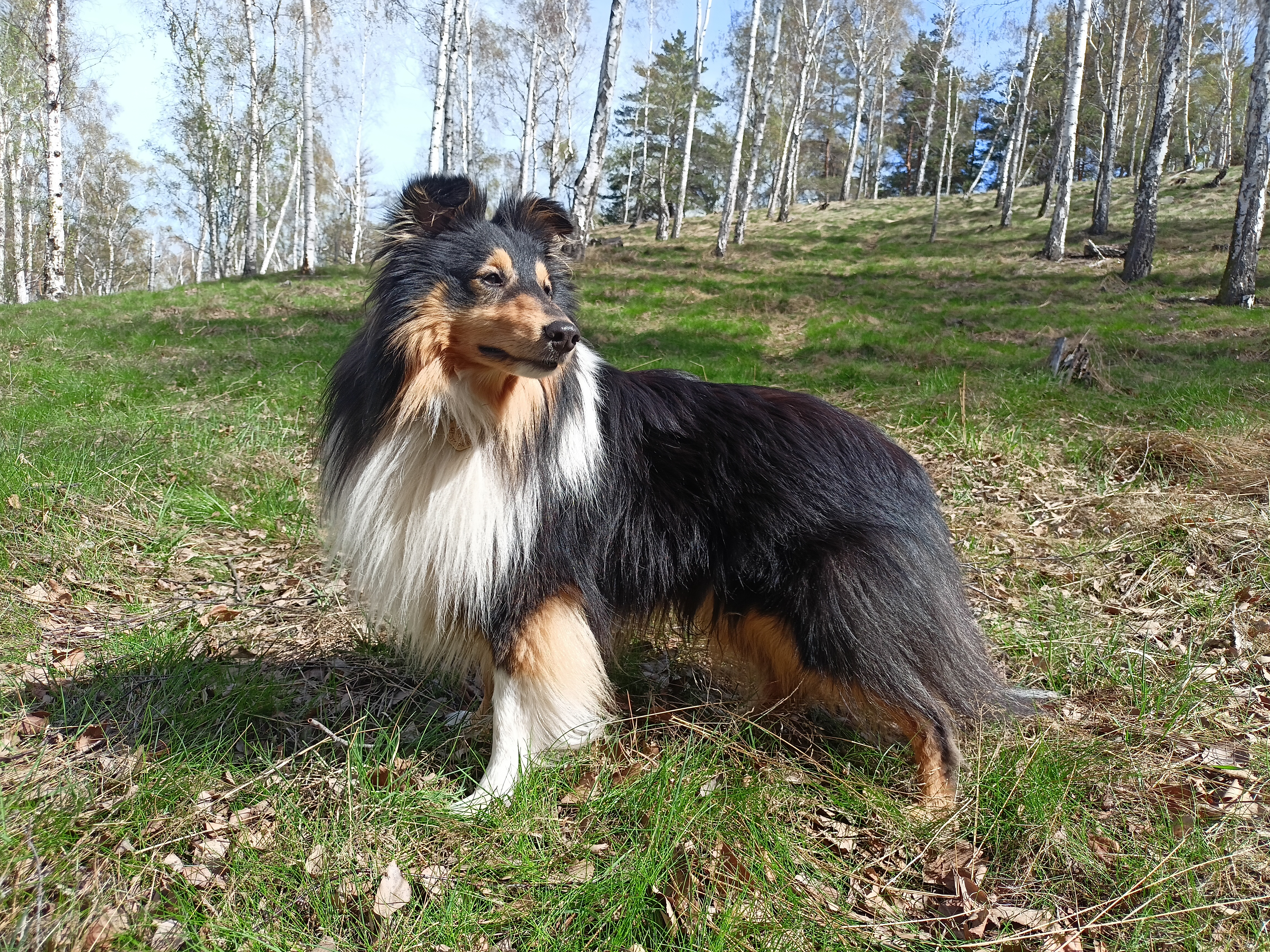 Nikolaj z Karlova hrádku