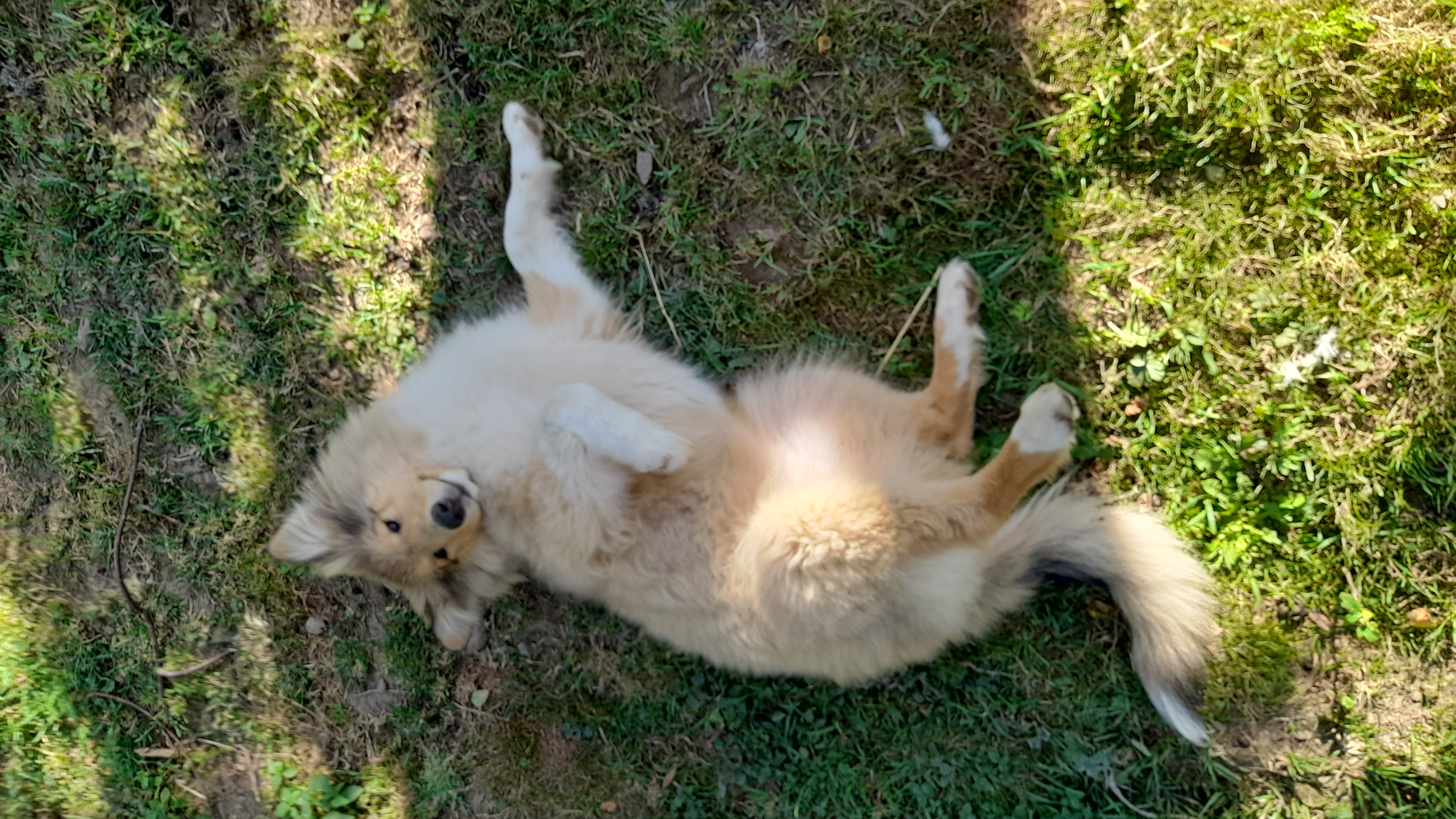 Kind Kissie Ronna Bohemia