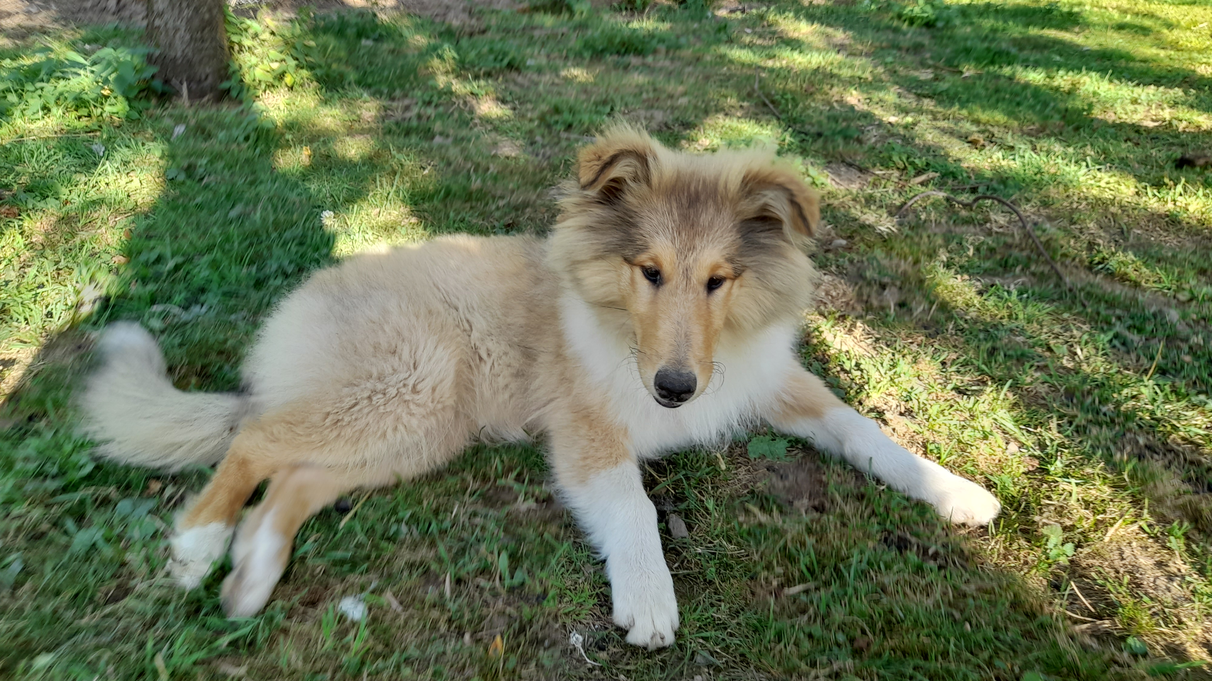 Kind Kissie Ronna Bohemia