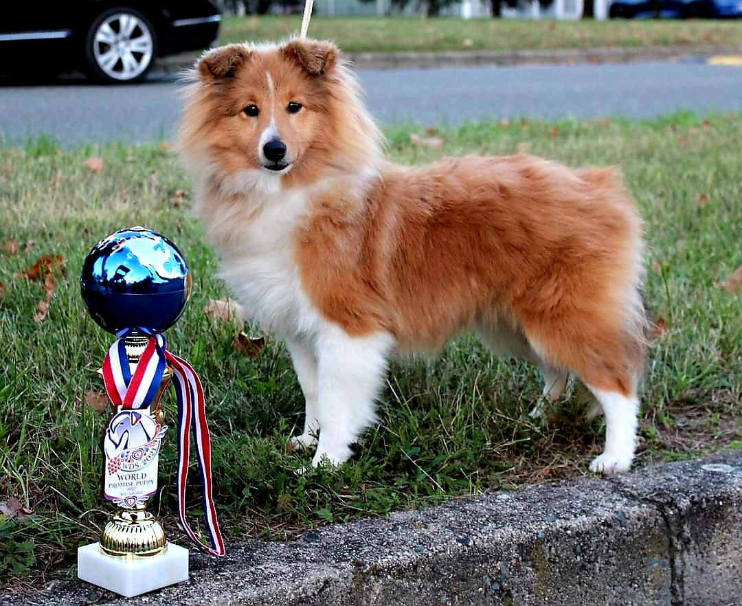 Gagarin Bohemia Classic