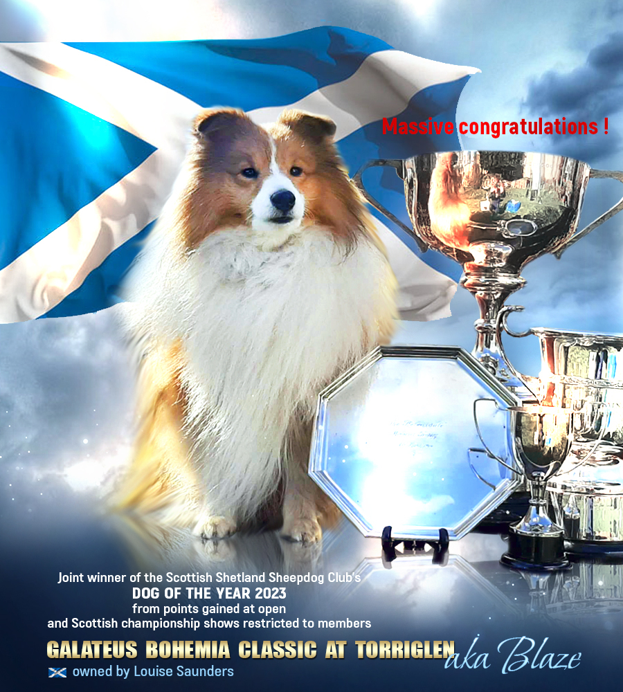 Galateus Bohemia Classic