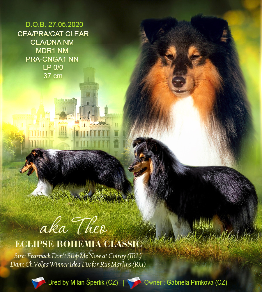 Empress Bohemia Classic