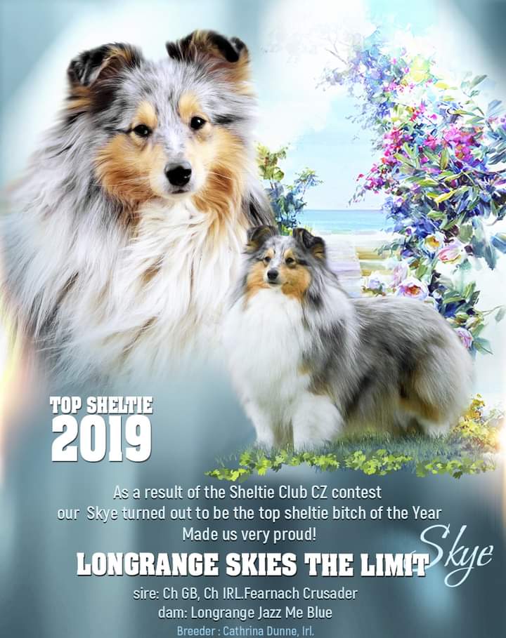 Longrange Skies The Limit