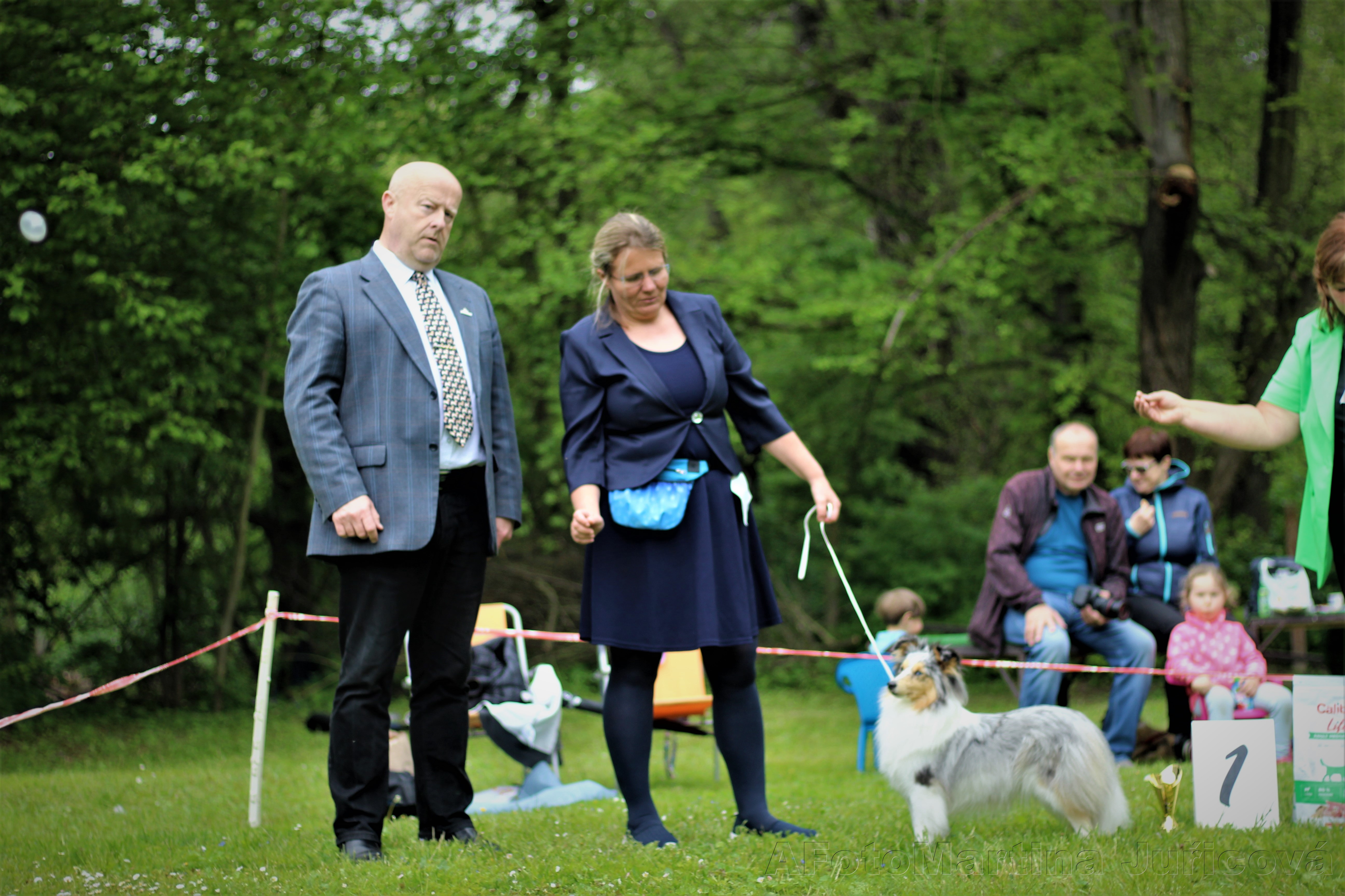 Hanami Bohemia Classic 