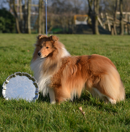 Iskander Bohemia Classic