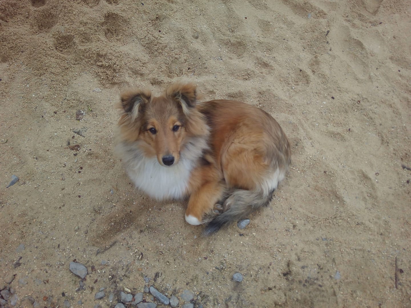 Bianca Baptistina Dancing in the wind