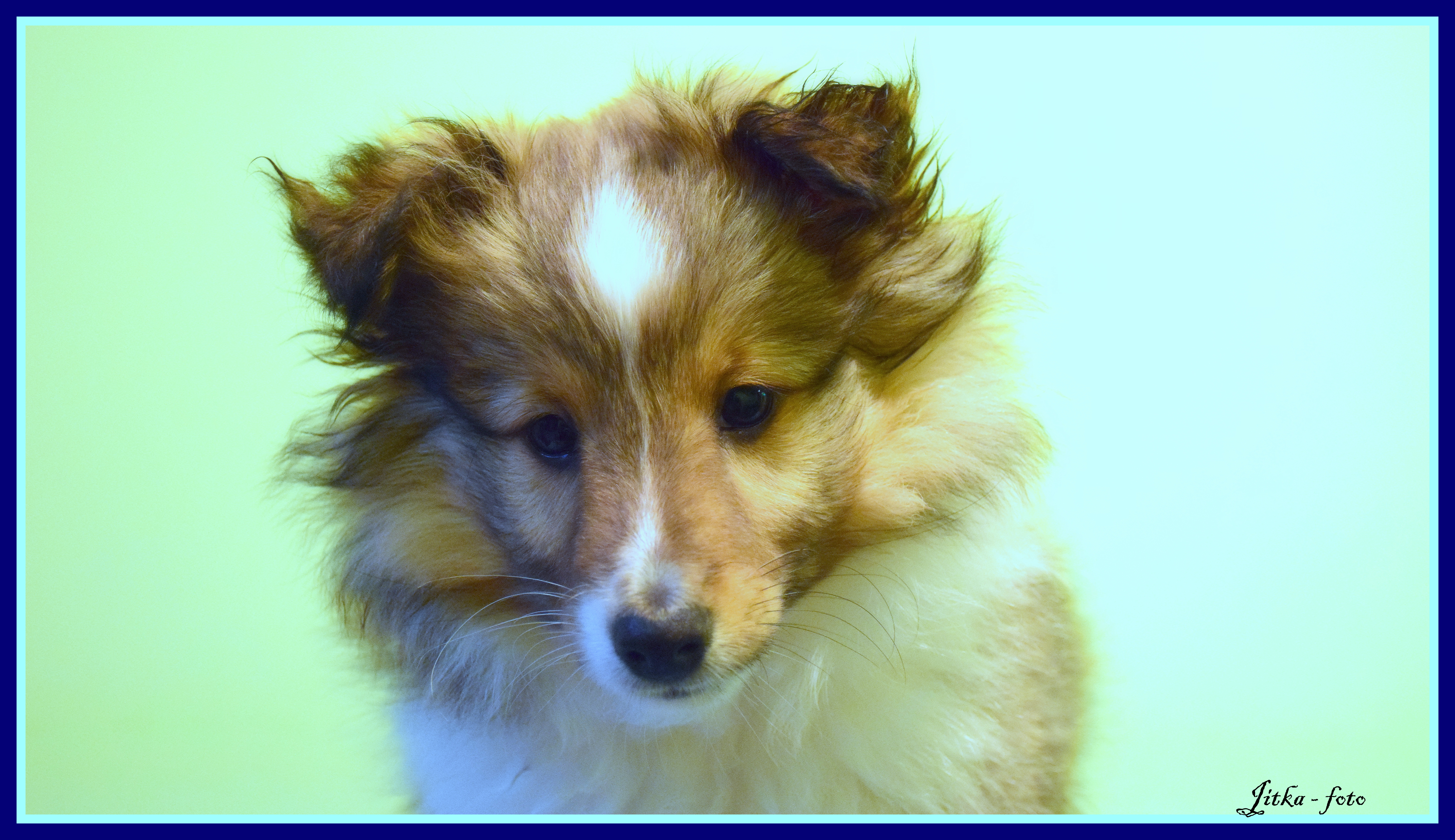 Constantin Christian Dancing in the wind