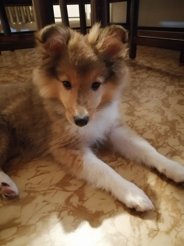 Edmond Dantes Dancing in the wind