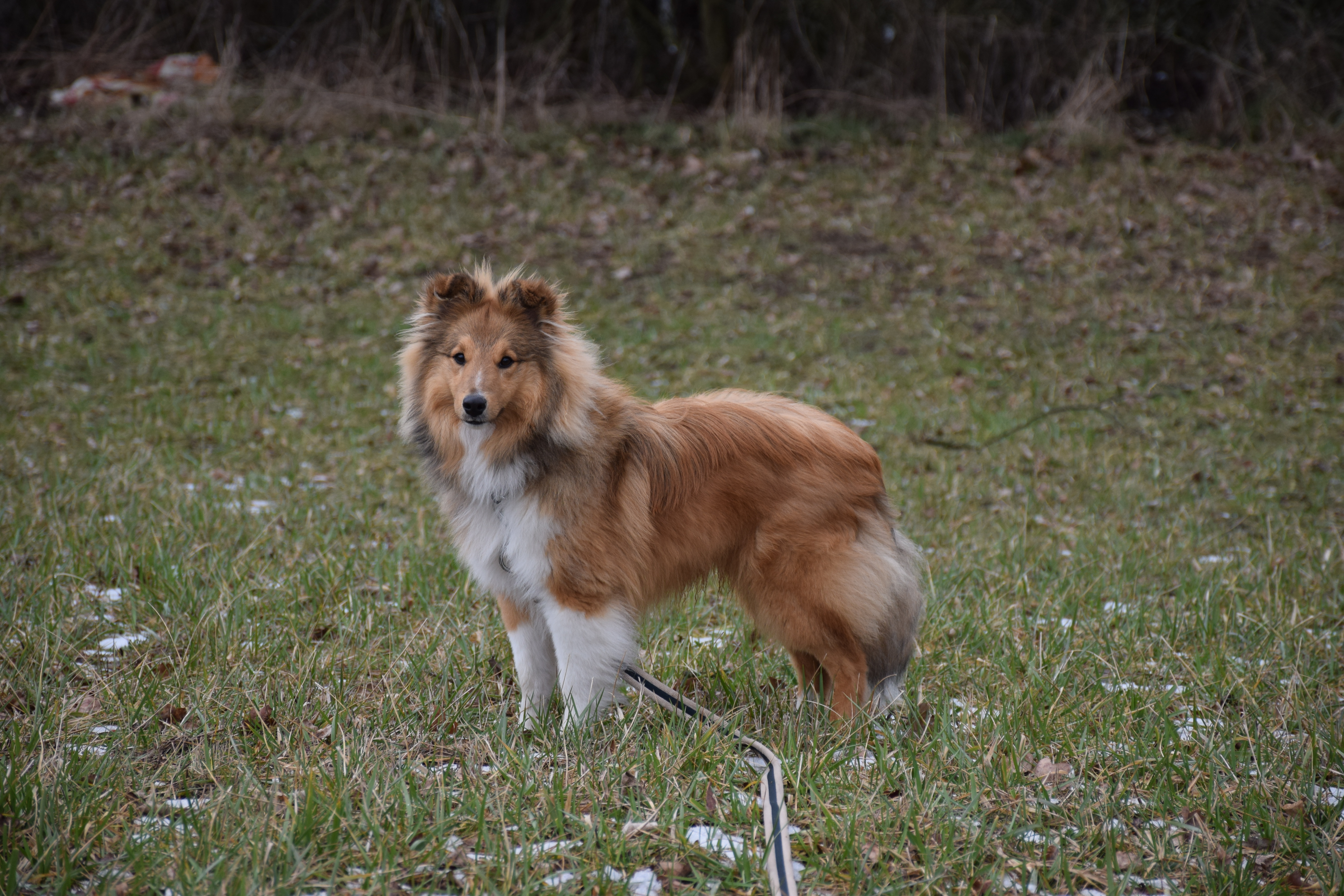 Ezekiel Tagas Dancing in the wind