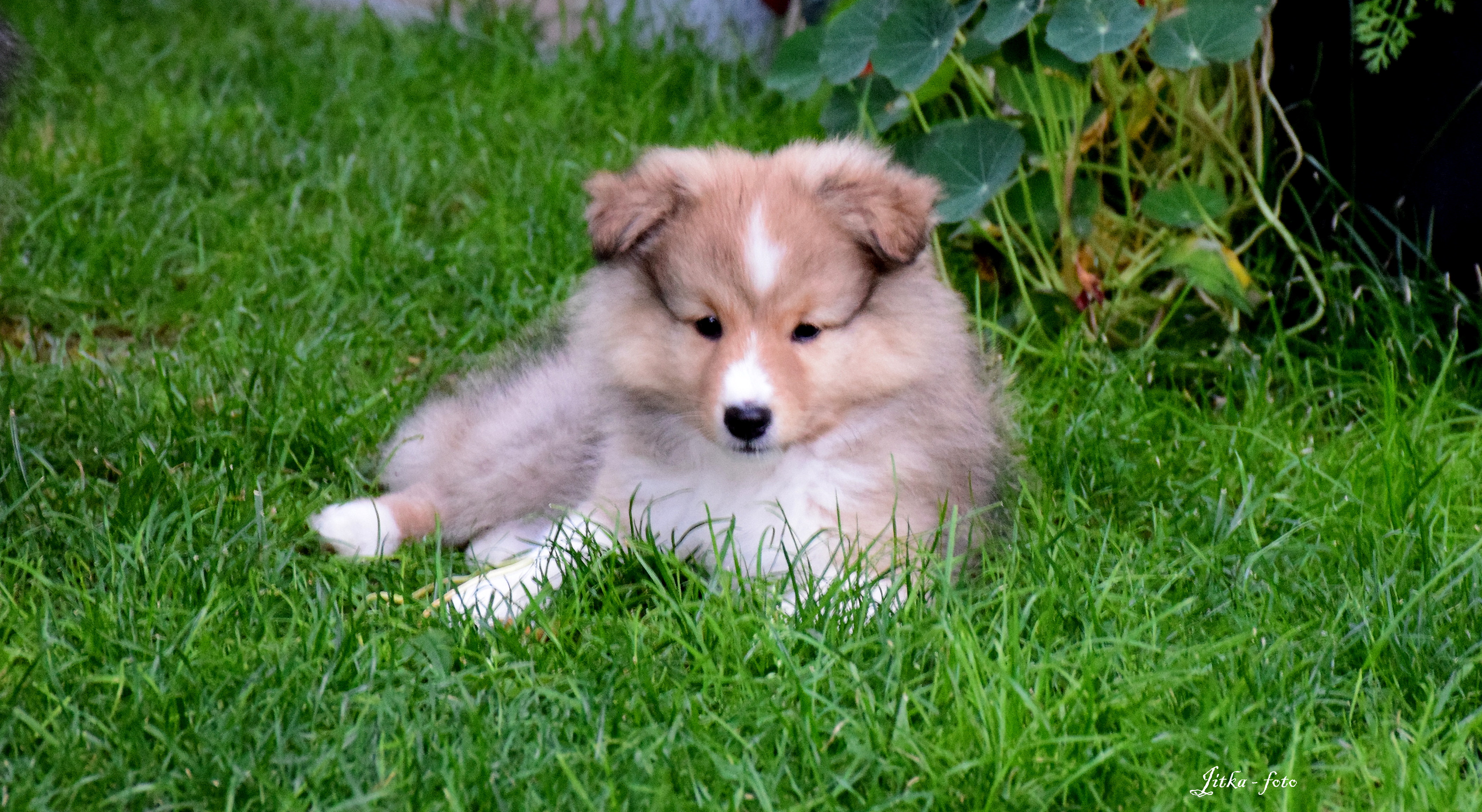 Gregory Gemeos Dancing in the wind