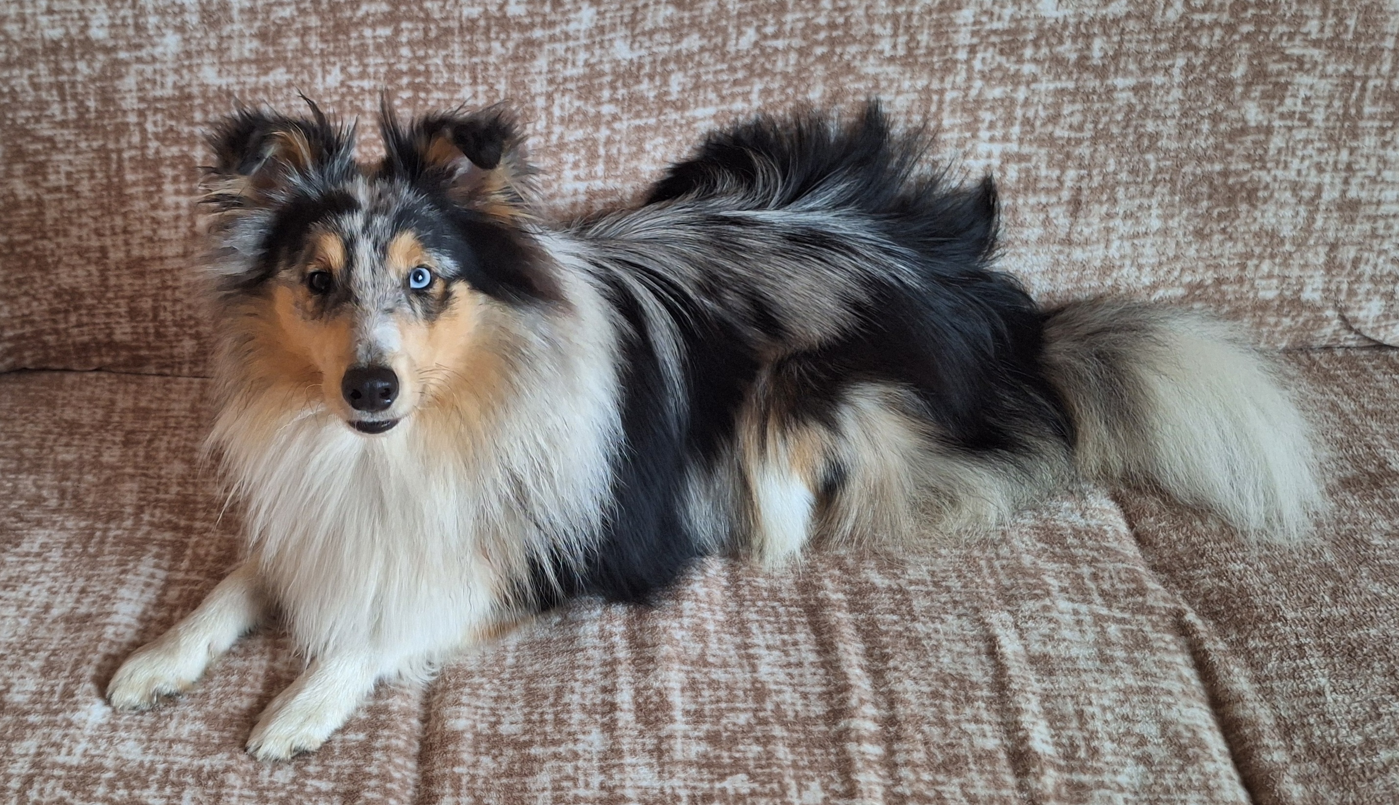 Hurricane Hero Deena's Victory